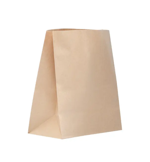 PAPER BAG CHECKOUT GREEN CHOICE LARGE  305W X 450H X 175G MM 250/CTN